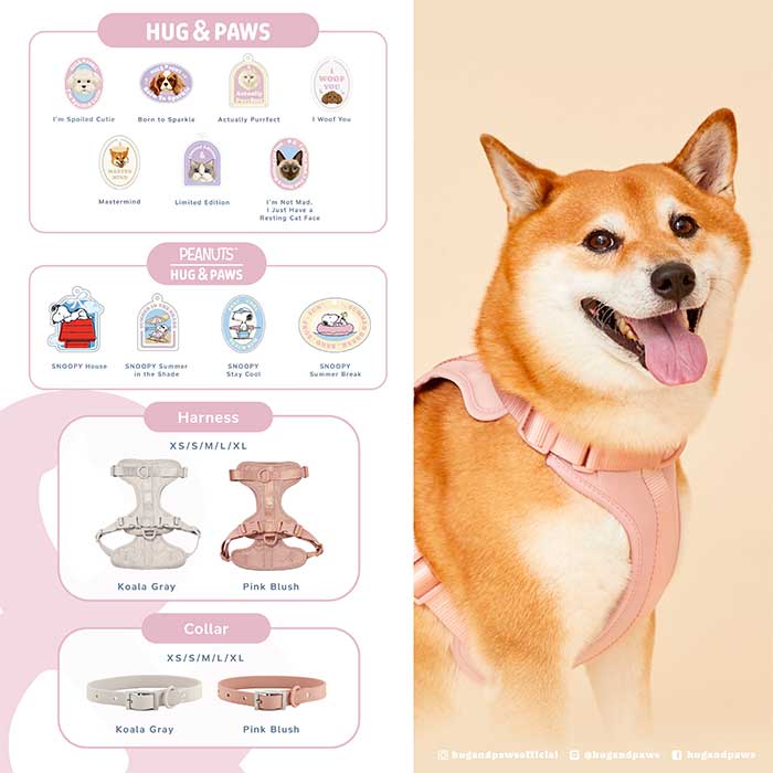 Pet Expo Thailand & Pet Expo Championship