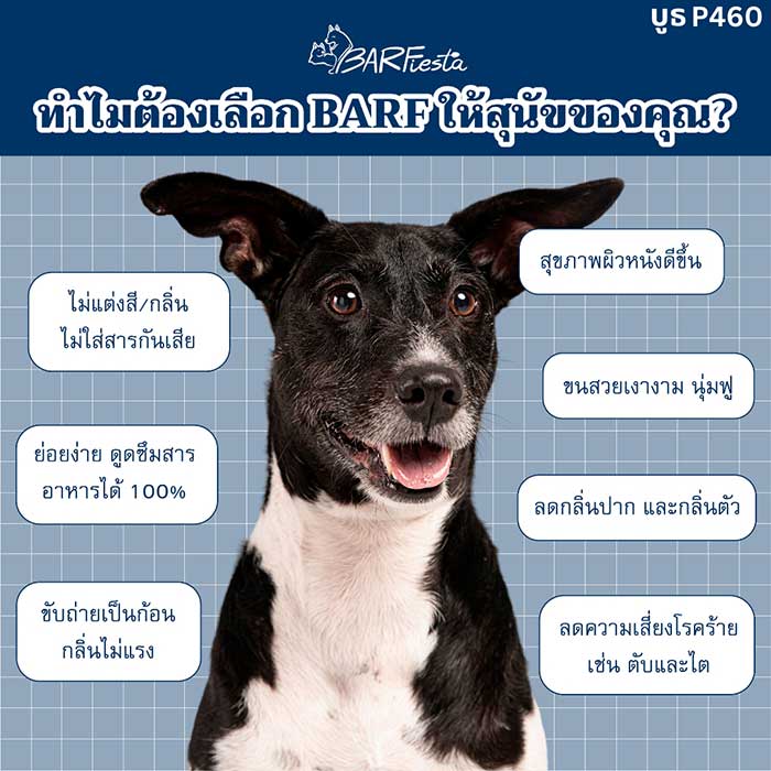 Pet Expo Thailand & Pet Expo Championship