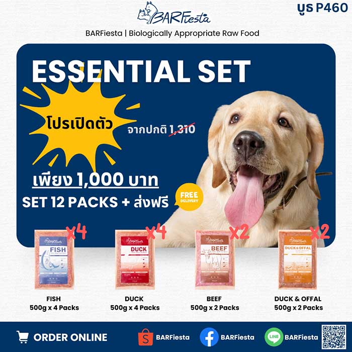 Pet Expo Thailand & Pet Expo Championship