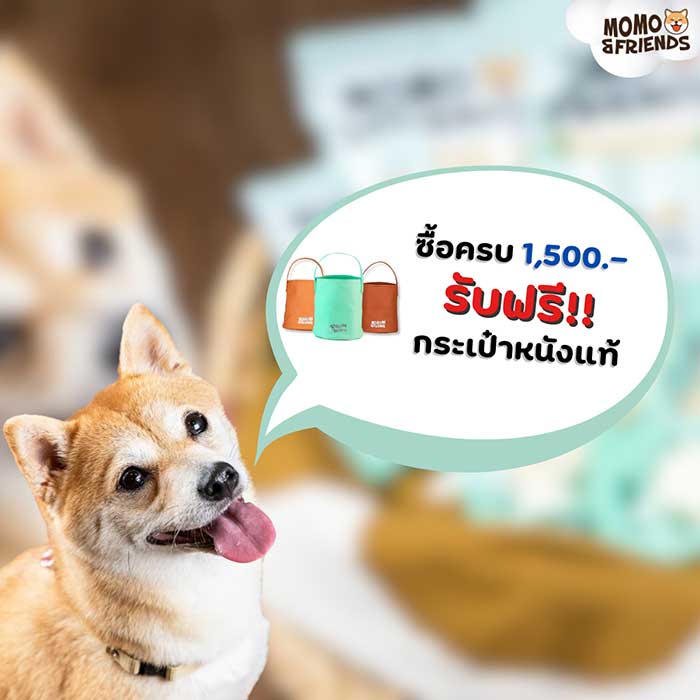 Pet Expo Thailand & Pet Expo Championship
