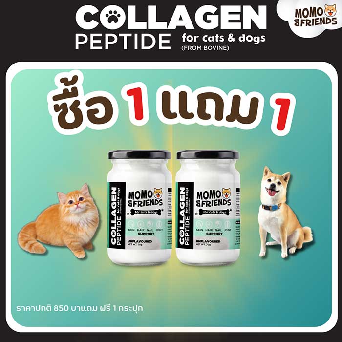 Pet Expo Thailand & Pet Expo Championship