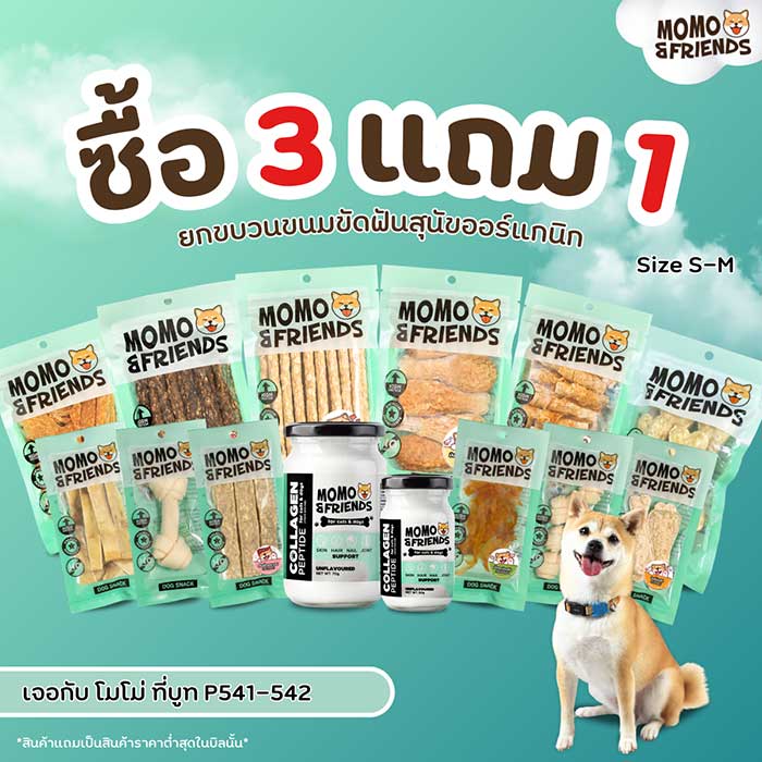 Pet Expo Thailand & Pet Expo Championship
