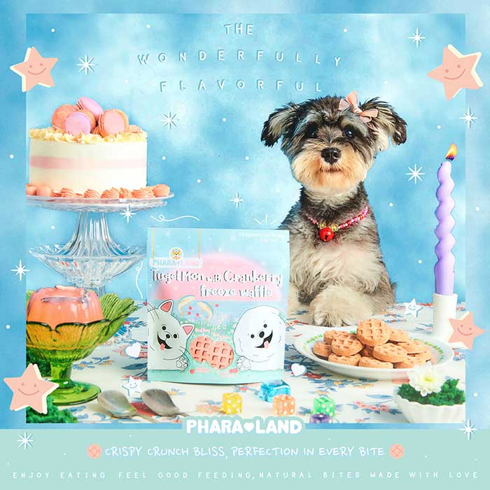 Pet Expo Thailand & Pet Expo Championship