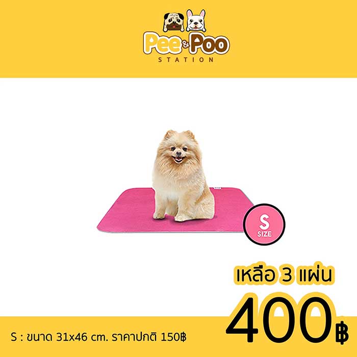 Pet Expo Thailand & Pet Expo Championship