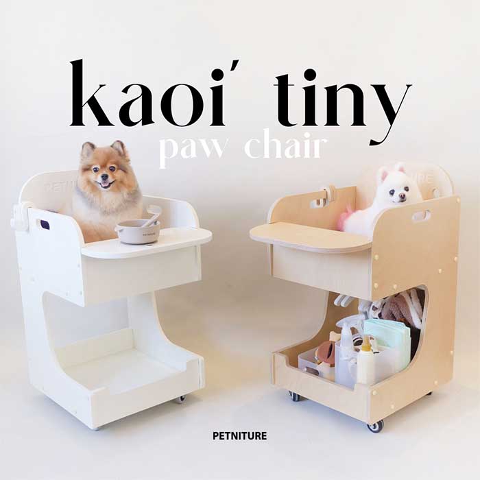 Pet Expo Thailand & Pet Expo Championship