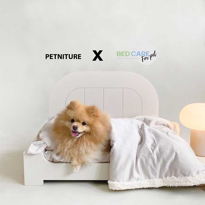 Pet Expo Thailand & Pet Expo Championship