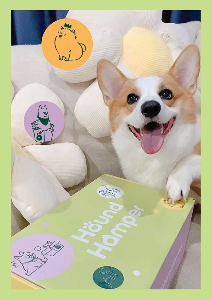 Pet Expo Thailand & Pet Expo Championship