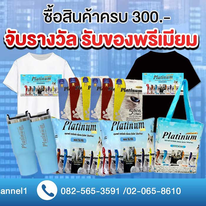 Pet Expo Thailand & Pet Expo Championship