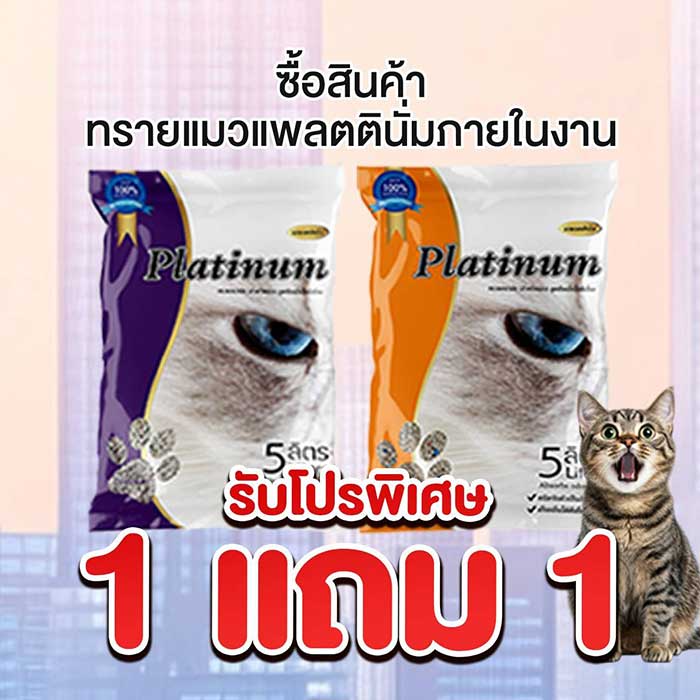 Pet Expo Thailand & Pet Expo Championship