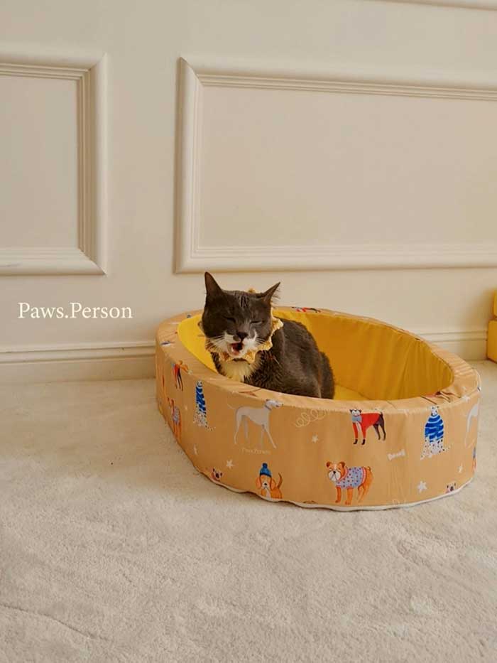Pet Expo Thailand & Pet Expo Championship
