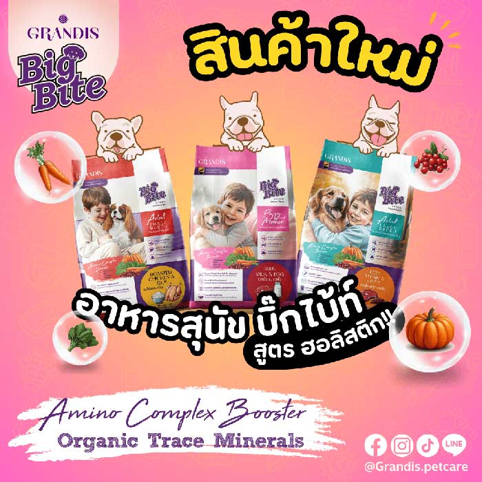 Pet Expo Thailand & Pet Expo Championship
