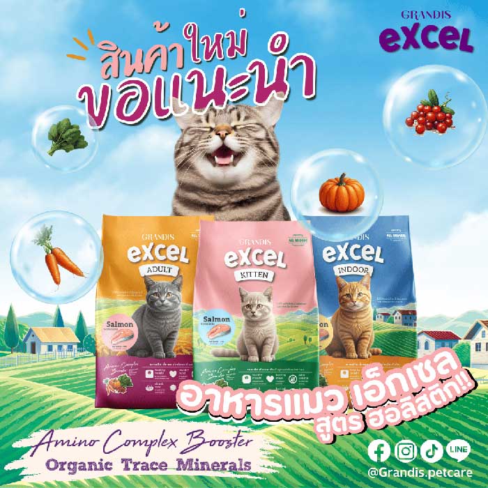 Pet Expo Thailand & Pet Expo Championship