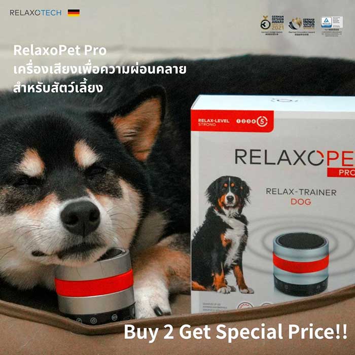 Pet Expo Thailand & Pet Expo Championship
