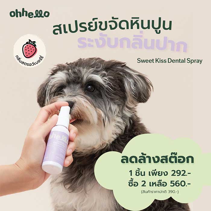 Pet Expo Thailand & Pet Expo Championship