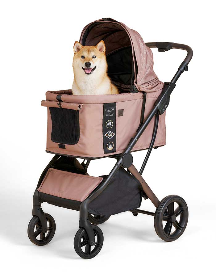 Pet Expo Thailand & Pet Expo Championship