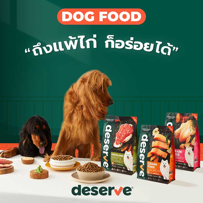Pet Expo Thailand & Pet Expo Championship