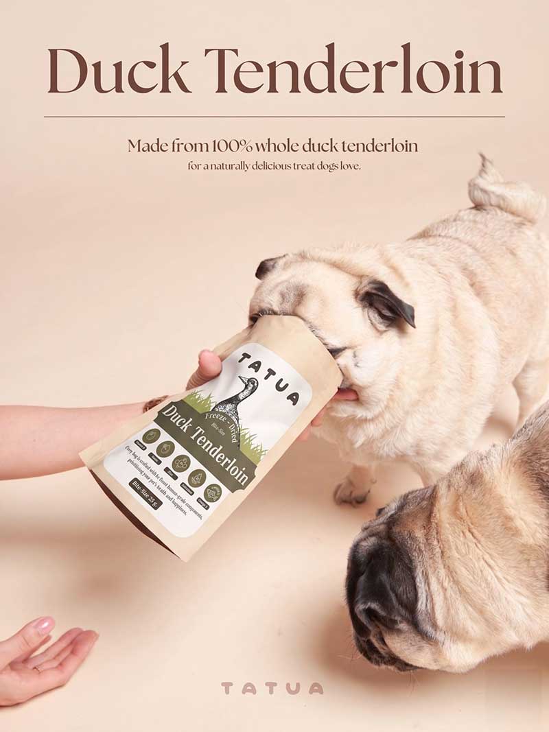 Pet Expo Championship