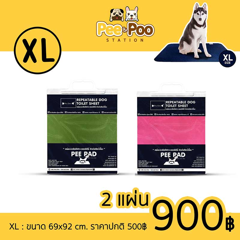 Pet Expo Championship