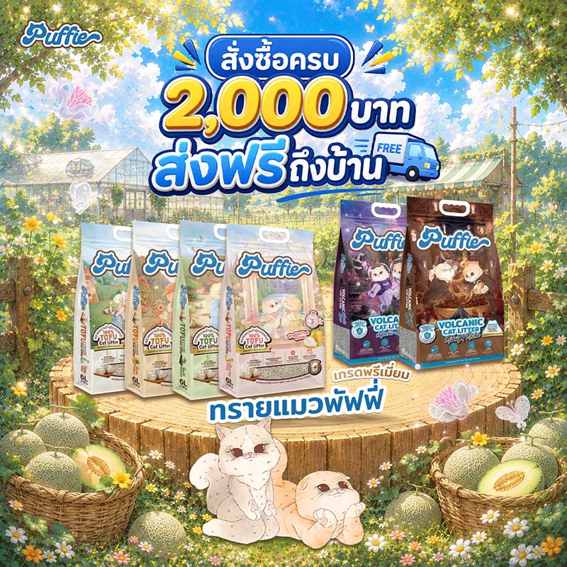 Pet Expo Championship