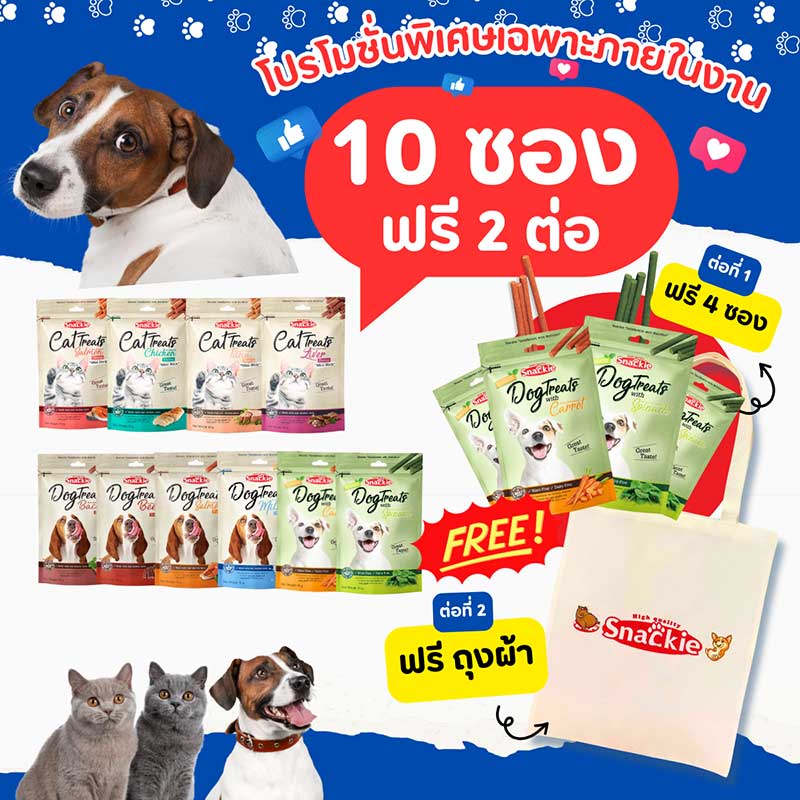 Pet Expo Championship