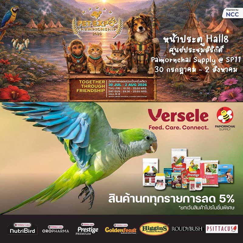 Pet Expo Championship