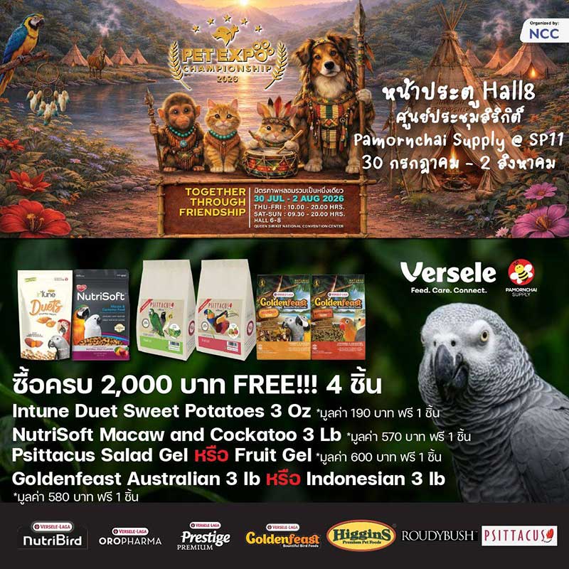 Pet Expo Championship