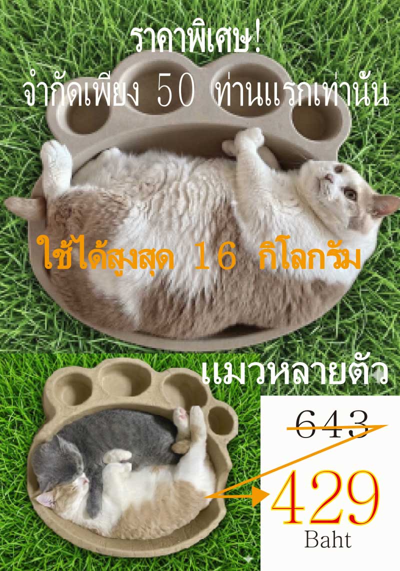Pet Expo Thailand