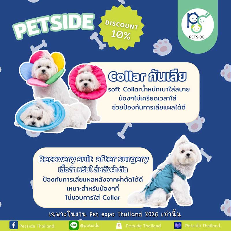 Pet Expo Thailand
