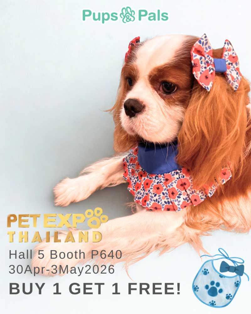 Pet Expo Thailand